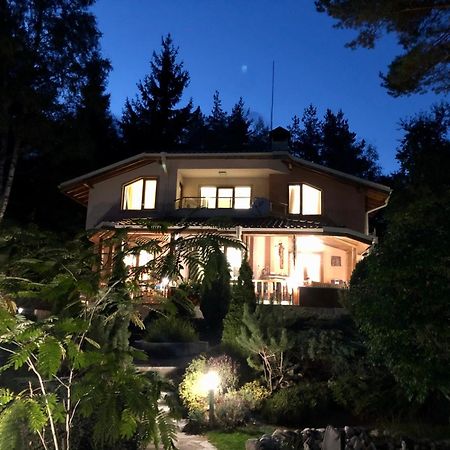 Luxury Villa Borina Zheleznitsa Esterno foto