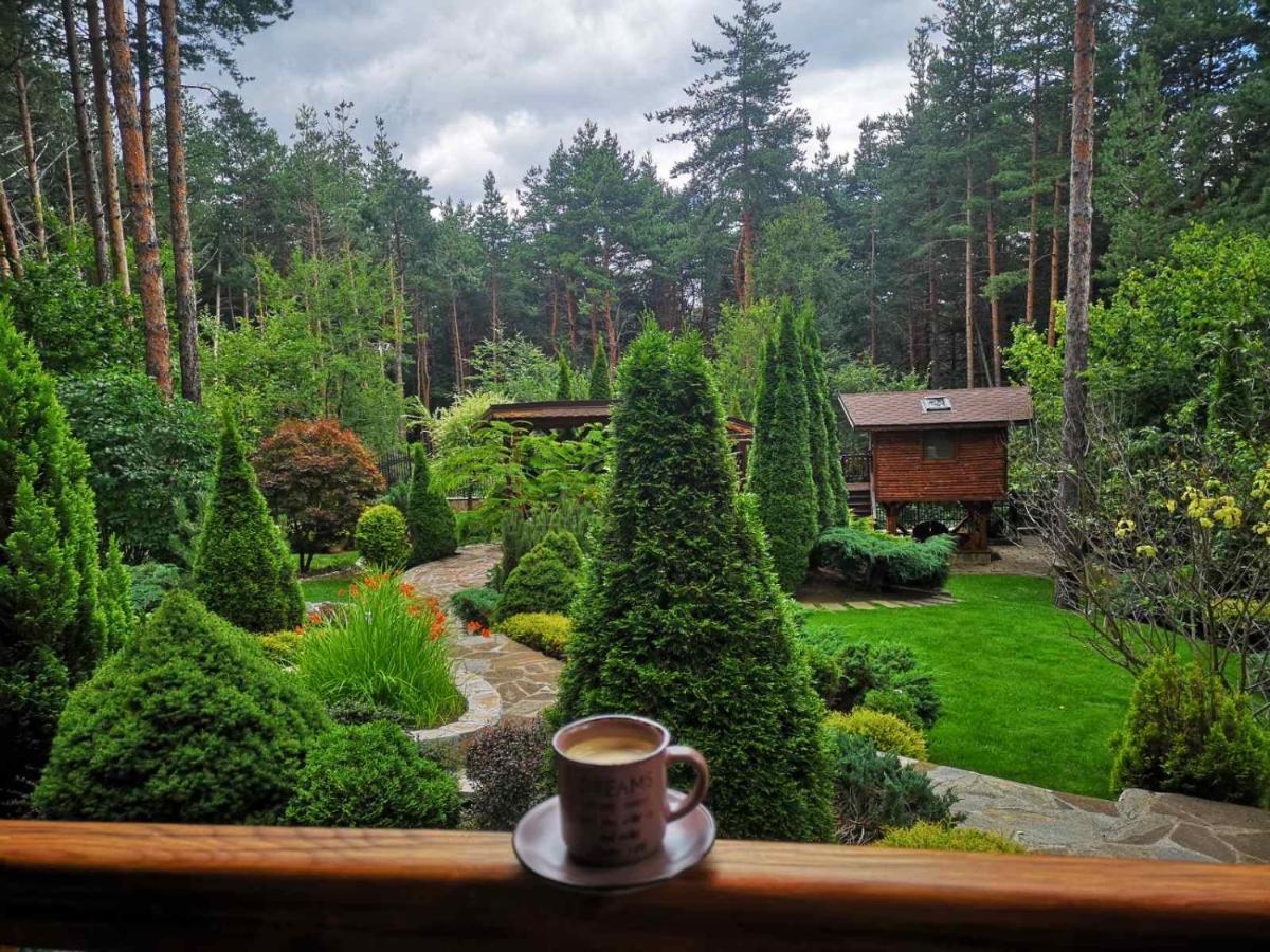 Luxury Villa Borina Zheleznitsa Esterno foto