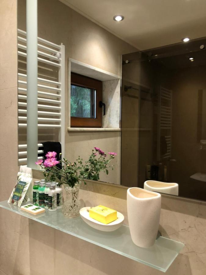 Luxury Villa Borina Zheleznitsa Esterno foto
