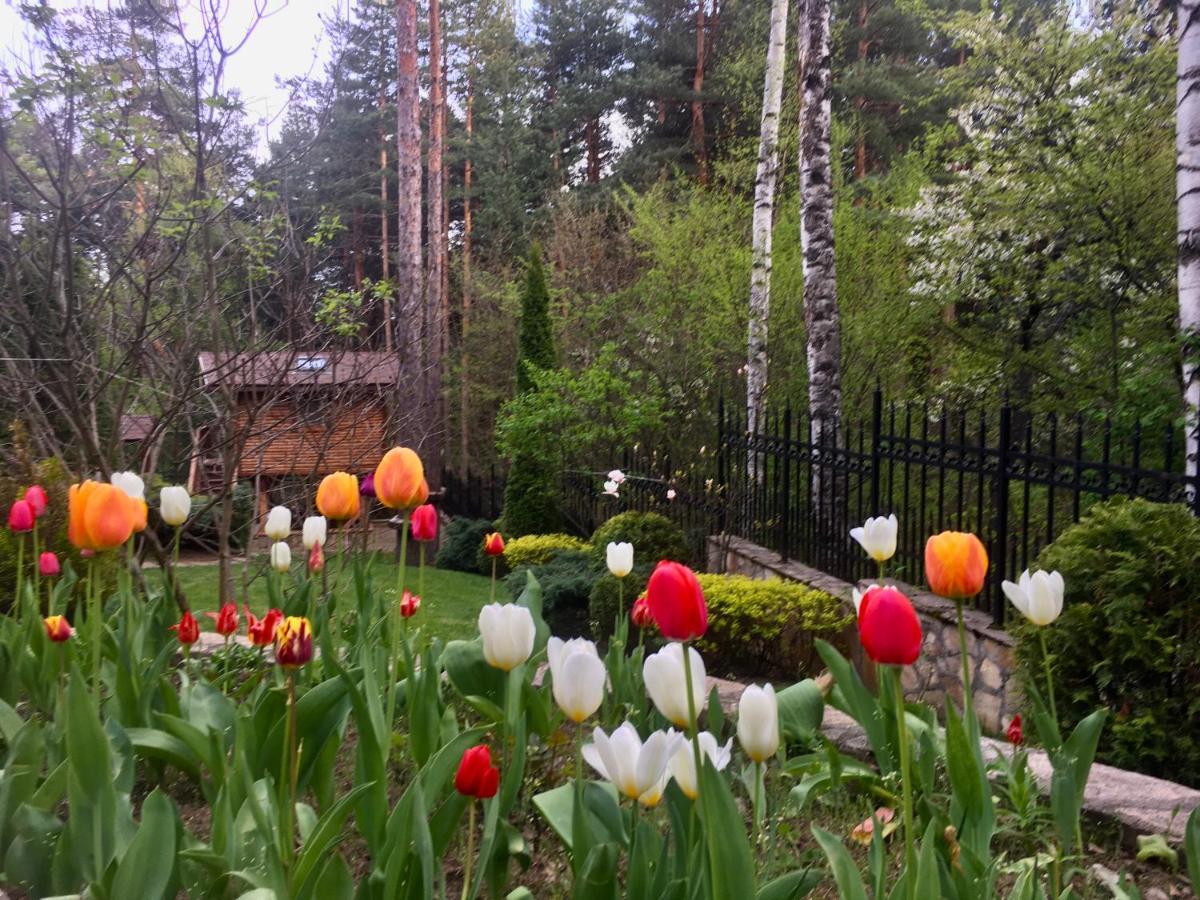 Luxury Villa Borina Zheleznitsa Esterno foto