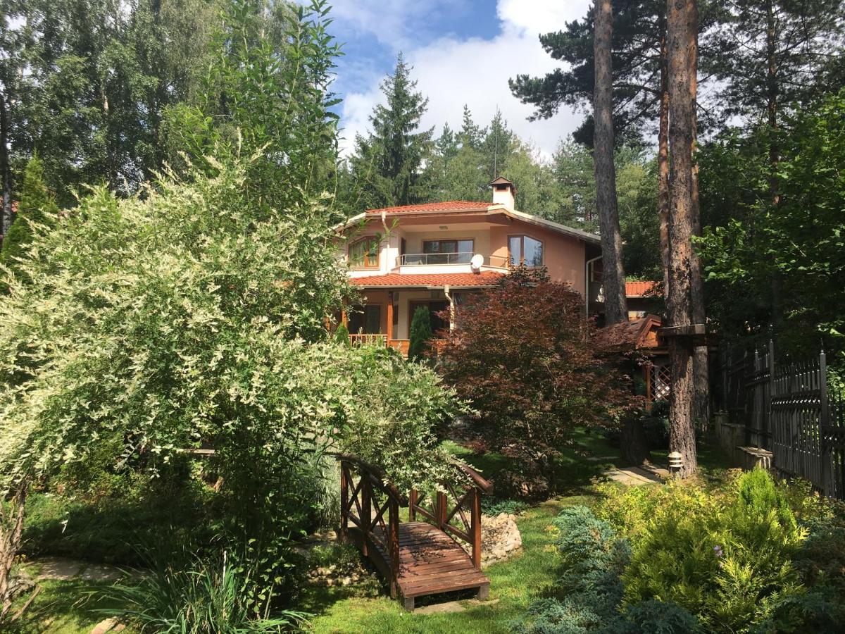 Luxury Villa Borina Zheleznitsa Esterno foto