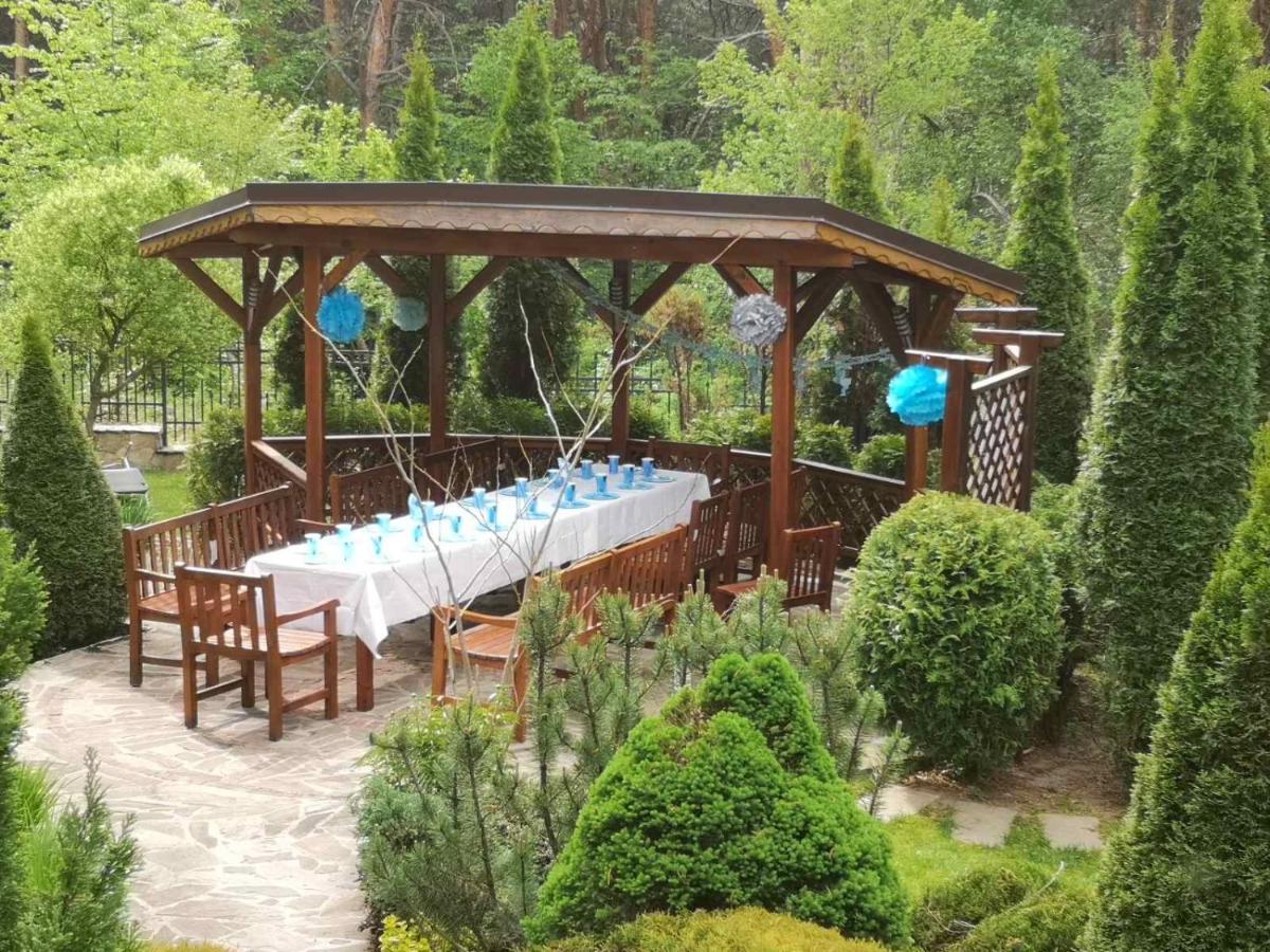 Luxury Villa Borina Zheleznitsa Esterno foto
