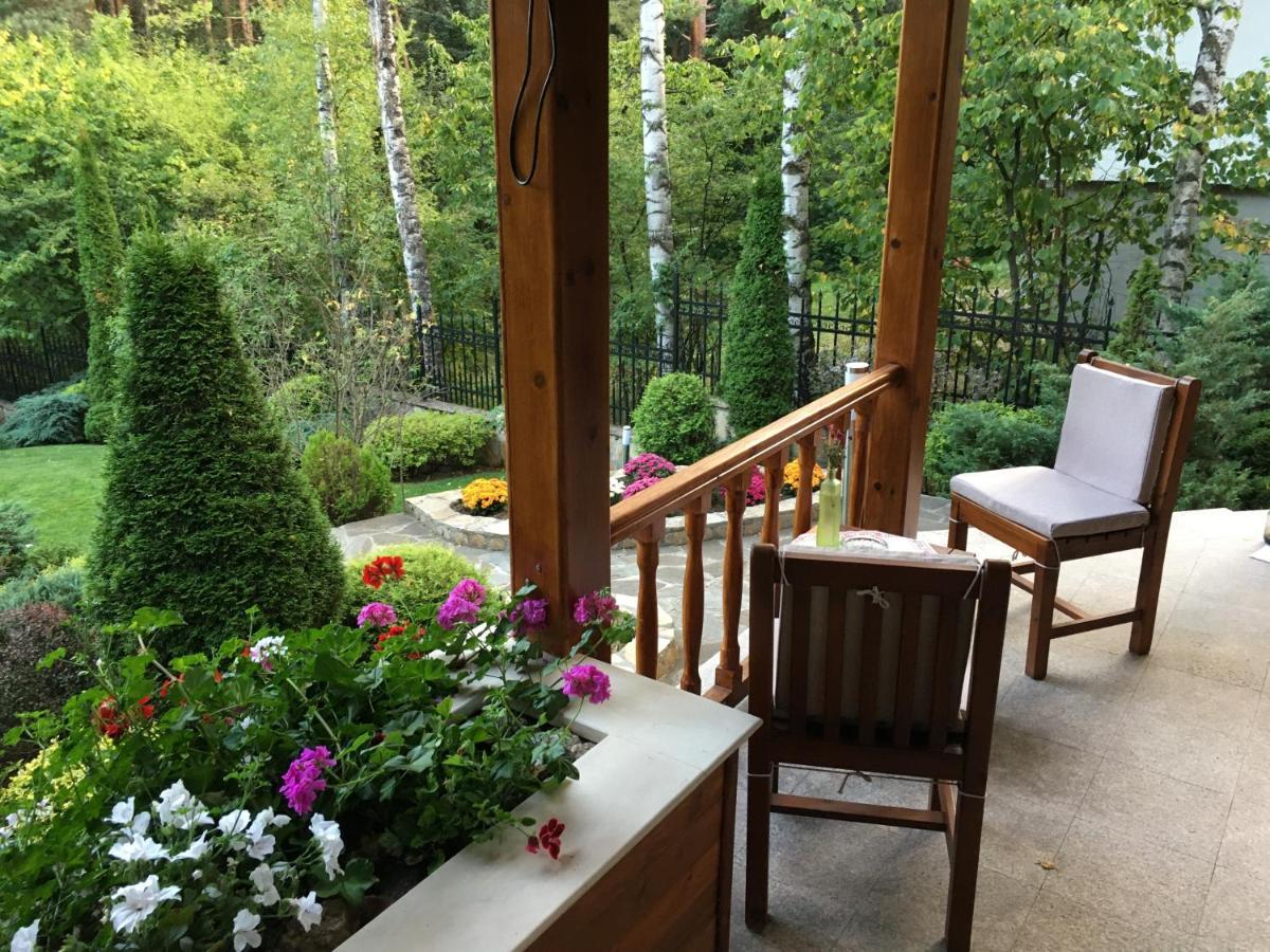 Luxury Villa Borina Zheleznitsa Esterno foto
