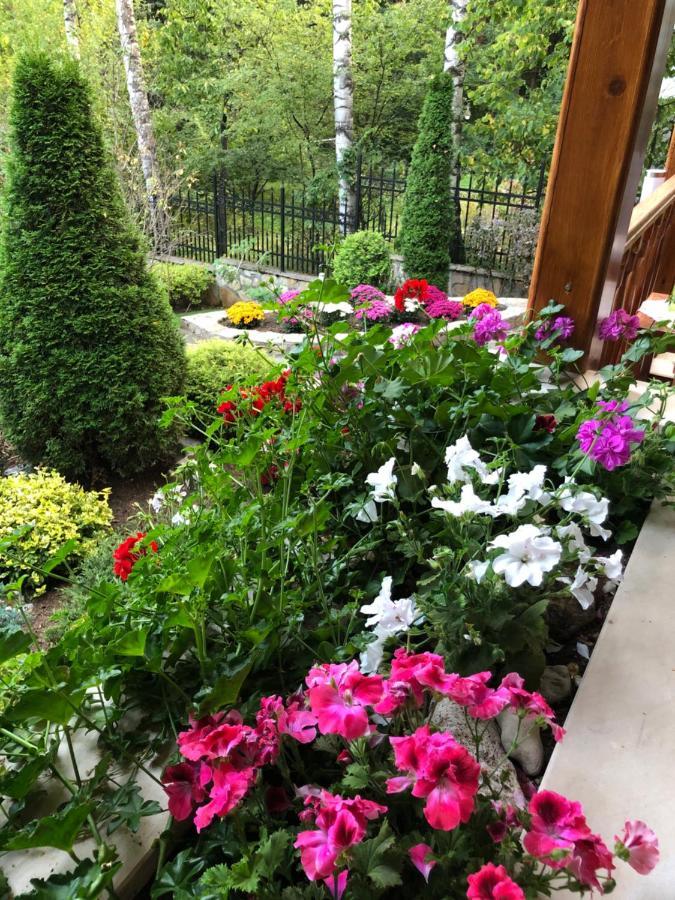 Luxury Villa Borina Zheleznitsa Esterno foto