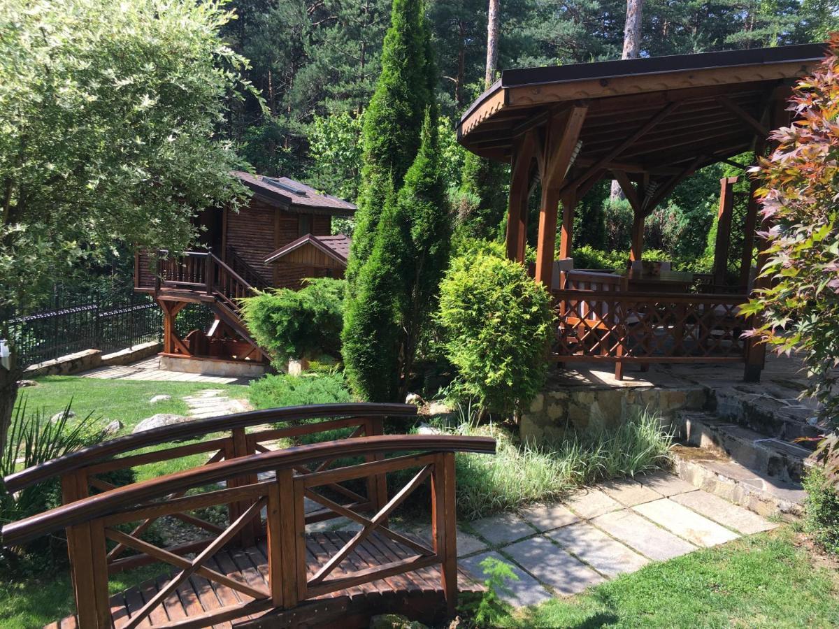 Luxury Villa Borina Zheleznitsa Esterno foto