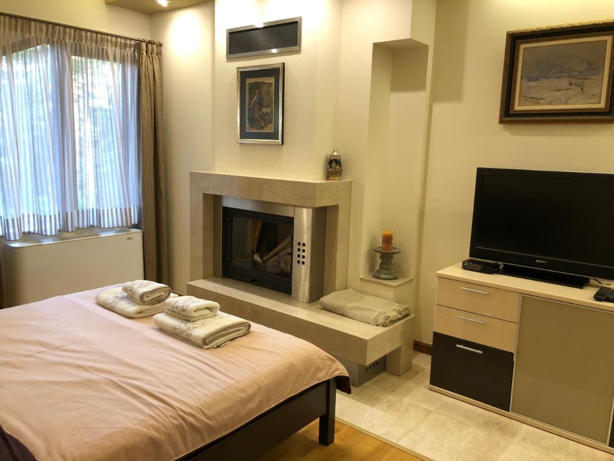 Luxury Villa Borina Zheleznitsa Esterno foto