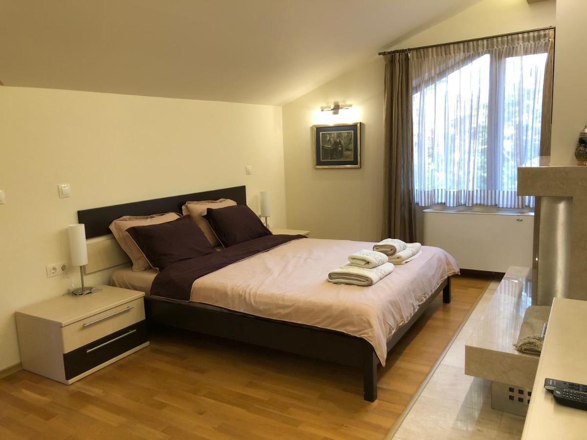 Luxury Villa Borina Zheleznitsa Esterno foto