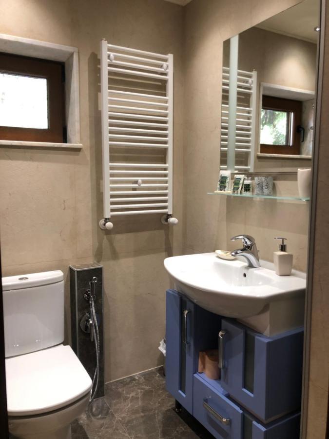 Luxury Villa Borina Zheleznitsa Esterno foto