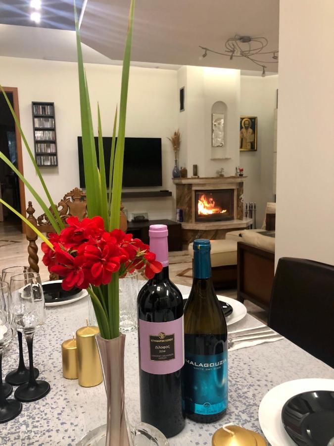 Luxury Villa Borina Zheleznitsa Esterno foto
