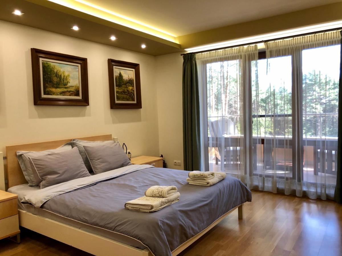 Luxury Villa Borina Zheleznitsa Esterno foto