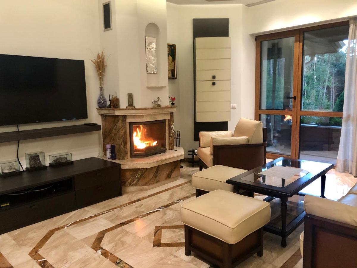 Luxury Villa Borina Zheleznitsa Esterno foto