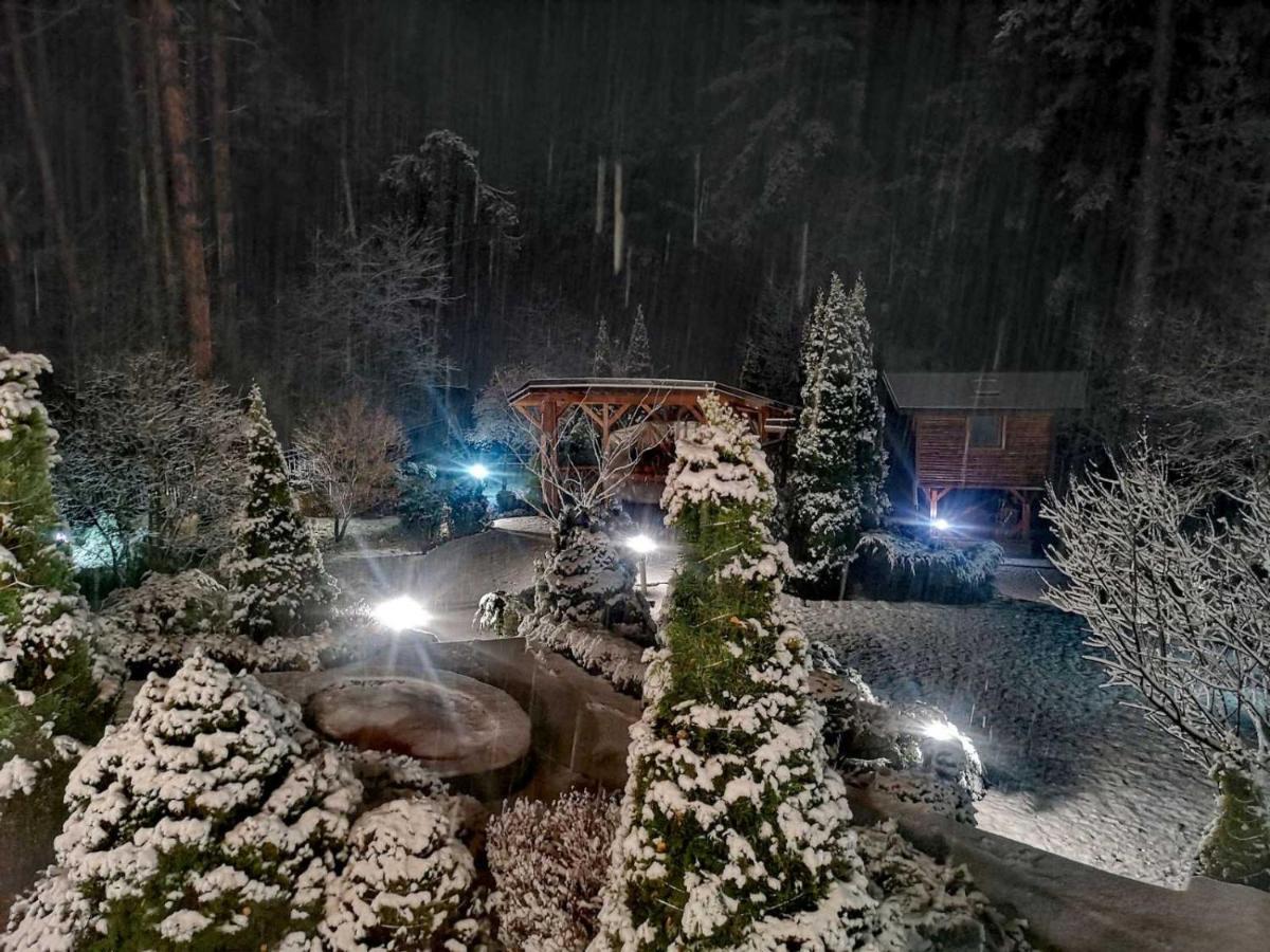 Luxury Villa Borina Zheleznitsa Esterno foto